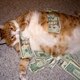 Illustration for article titled How to Make $7500 a Week by Working at Home with Google
